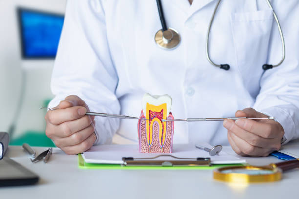 Best Emergency Treatment for Toothache in Kingston, NY